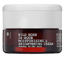 travel makeup essentials